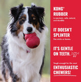 KONG Goodie Bone XL