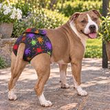 NZ-Made B!tch’s Britches for Large-Breed Girls