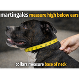 Black and Yellow Soft Martingale Collar