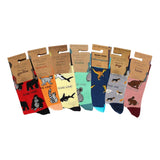 Step Into the Rainbow Bundle of 7