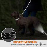 TUGZEE Dog Leash with Comfortable Padded Handle Reflective - Strong & Durable for Small Medium and Large Dogs
