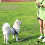 TUGZEE Dog Leash with Comfortable Padded Handle Reflective - Strong & Durable for Small Medium and Large Dogs