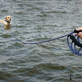 TUGZEE Long Dog Leash for Dog Training Reflective with Comfortable Padded Handle Heavy Duty Dog Lead for Large Medium Small Dogs