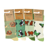 The Evergreen Bundle of 4