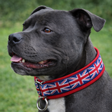 Union Jack Soft Martingale Collar