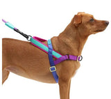 ZEE.DOG SOFTER WALK HARNESS - GOTHAM - Small