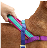 ZEE.DOG SOFTER WALK HARNESS - GOTHAM - Small