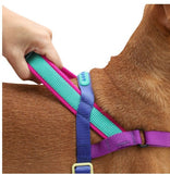 ZEE.DOG SOFTER WALK HARNESS - GOTHAM - Small