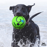 Whimsy Wag Giggle Glow Ball, Interactive Dog Toy