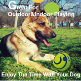 Whimsy Wag Giggle Glow Ball, Interactive Dog Toy