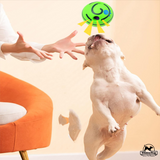 Whimsy Wag Giggle Glow Ball, Interactive Dog Toy