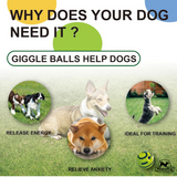 Whimsy Wag Giggle Glow Ball, Interactive Dog Toy