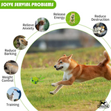 Whimsy Wag Giggle Glow Ball, Interactive Dog Toy