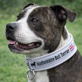 White & Black Soft Martingale Collar