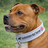 White & Black Soft Martingale Collar