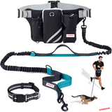 ZINGDOG Hands-Free Dog Leash with Waist Pouch for Running, Walking & Hiking