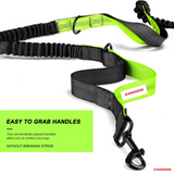 ZINGDOG Hands-Free Dog Leash with Waist Pouch for Running, Walking & Hiking