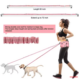 ZINGDOG Hands-Free Dog Leash with Waist Pouch for Running, Walking & Hiking