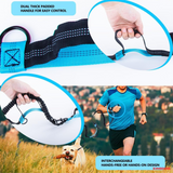 ZINGDOG Hands-Free Dog Leash with Waist Pouch for Running, Walking & Hiking