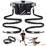ZINGDOG Hands-Free Dual Dog Leash with Waist Pouch for Running, Walking & Hiking