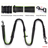 ZINGDOG Hands-Free Dual Dog Leash with Waist Pouch for Running, Walking & Hiking