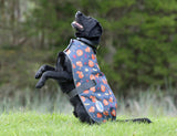 WeatherBeeta ComFiTec Premier Free Parka Dog Coat Medium