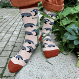 Night Garden Bundle of 3