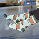 The Paddle Tail Duo Bundle of 2