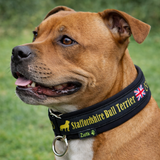 Black & Yellow Soft Martingale Collar