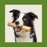 Bonno - The Manuka Chew For Dogs