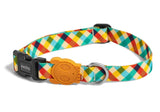 colourful dog collar adjustable strong buckle durable everyday collar for dogs