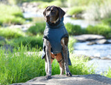 WeatherBeeta Explorer Medium Dog Coat