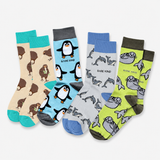 Aotearoa Wildlife 4-Pack