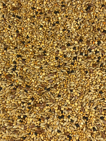 Finch Seed - 1kg - Topflite Brand