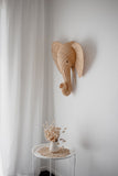 Effie The Elephant