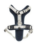 WeatherBeeta Explorer Dog Harness