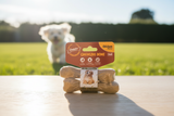 Gnawler small dog chew bones 2 pack with happy dog in background