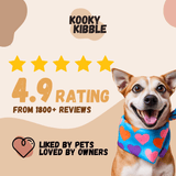 Smart Hooman Trial Bundle - Dog Food (200g)