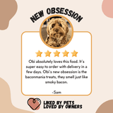 New Zealand Dog Kibbles and Dog Treats Bundle Deals