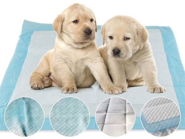 Puppy Training Pads