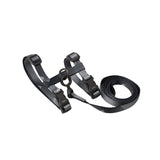 PIDAN Cat Leash & Harness