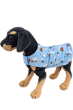 LuxeDog Memory Lane Collection - To Infinity & Beyond - 35cm