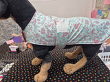 Mint Safari Sleeper Coat