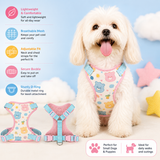 Pastel Bear Adjustable Dog Harness – Lightweight Mesh Vest Harness for Small Dogs & Puppies