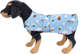 LuxeDog Memory Lane Collection - To Infinity & Beyond - 35cm
