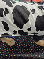 *Limited Edition* Mini Moo - Size 26cm.