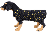 LuxeDog Starry Skies - Midnight - 40 cm