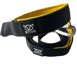 Black and Yellow Soft Martingale Collar