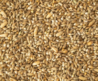 2kg Budgie Mix Seed