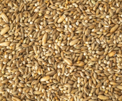 1kg Budgie Mix Seed